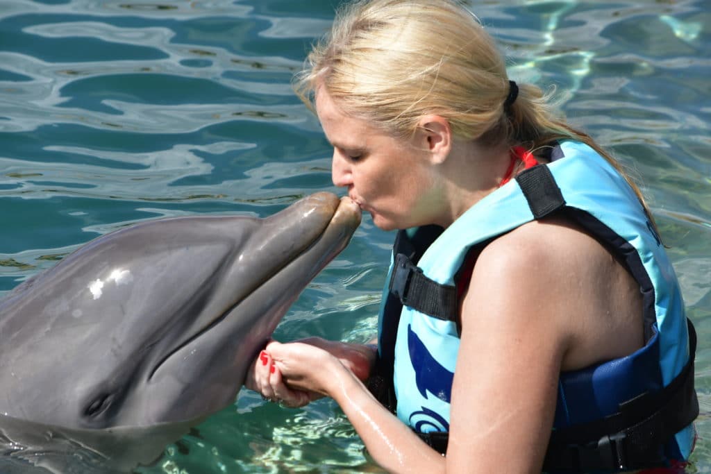 sigrun dolphin st.kitts 2019